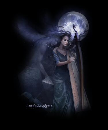 '' La solitude... ''
